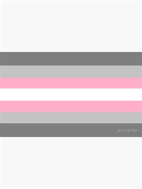 "Demigirl Pride Flag" Art Print by porcupride | Redbubble