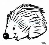 Porcupine Line Drawing At PaintingValleycom  Explore Collection Of sketch template