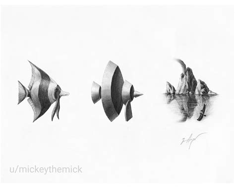 Metamorphosis of Angelfish and Archipelago, Me, Pencil, 2020 : r/Art