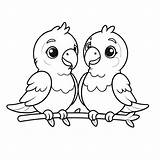 Parrots Coloring Page Or Drawing  sketch template