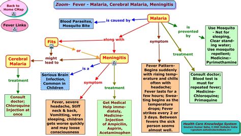 Zoom- Fever- Malaria-Meningitis-Cerebral Malaria.html