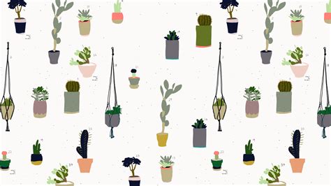 Succulent Aesthetic Desktop Wallpapers on WallpaperDog