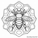 Honeycomb Coloring Pages  Free & Printable sketch template
