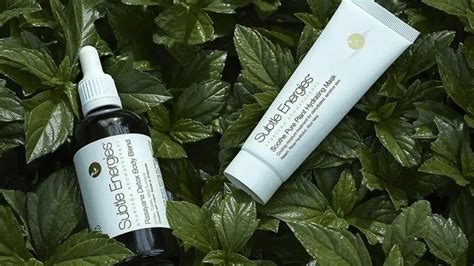 Subtle Energies is a luxurious aromatherapy brand rooted in Ayurveda ...