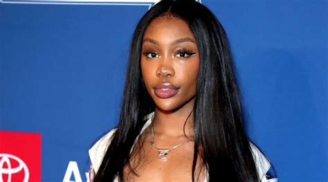 Everything we know about SZA's parents - TheNetline