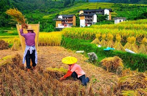 Hakka Culture & Festival, Hakka Tulou, Fujian Tulou China