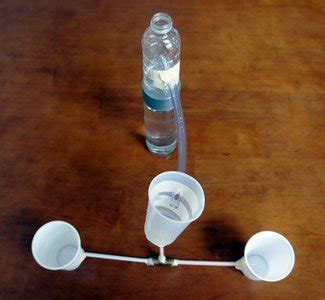 Science experiment: create a circulatory system | Parenting