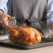 Where do you put the thermometer in a turkey? » thefastrecipe.com