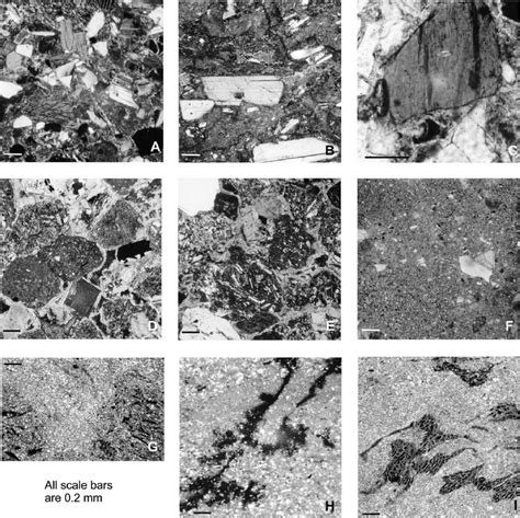 Thin-section photomicrographs from the Yelisseev Locality. All scale... | Download Scientific ...