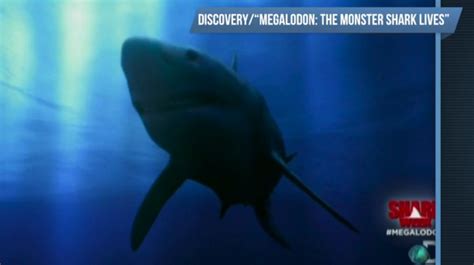 Shark Week 'Megalodon' Documentary Angers Fans | Windham, NH Patch