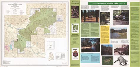 Tuskegee National Forest, Alabama, St. Stephens meridian, 1993 ...