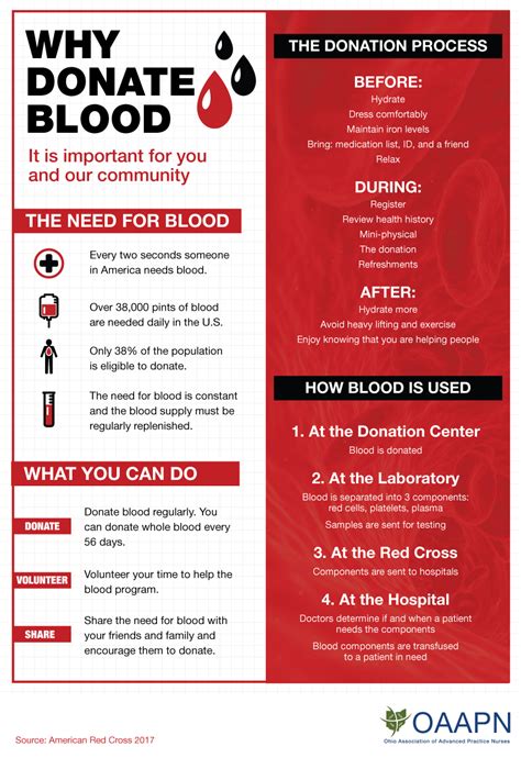 How To Prepare To Donate Blood