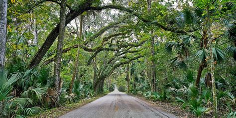 Ormond Beach Historic Loop Tour, Daytona Beach FL - Jul 21, 2018 - 9:30 AM