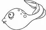 Tadpole Coloring Page  Cute coloring Pages Free sketch template