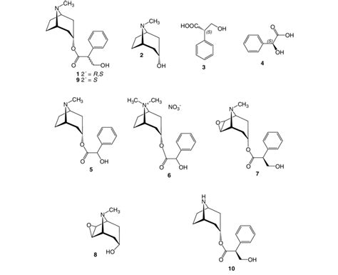 Tropane alkaloids and hydroxy acids. | Download Scientific Diagram