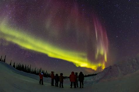 Churchill, Manitoba: World’s Greatest Places 2023 | TIME