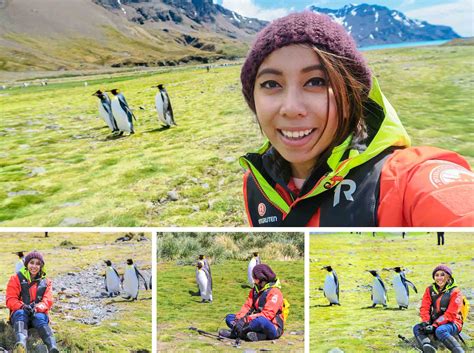 South Georgia Island: An Antarctic Hub for Wildlife Viewing