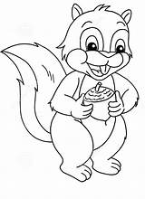 Animals Squirrel Coloring Pages  Cool sketch template