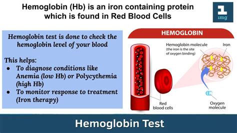 High hemoglobin hematocrit. High Hemoglobin Count: Causes, Treatments ...