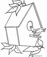 Bird House Coloring Pages sketch template