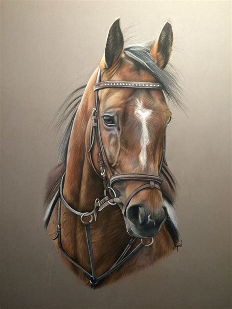 Dessin De Cheval | Images and Photos finder