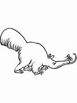 Anteater Coloring Pages  SeaColoring sketch template