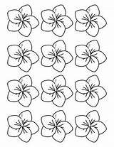 Hawaiian Lei Drawing sketch template