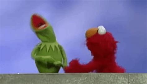 GIF kermit the frog kermit argument - animated GIF on GIFER