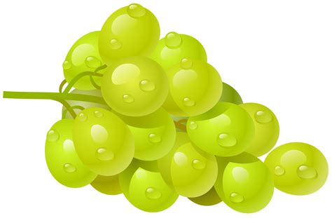 White Grape PNG Clipart Picture | FRUIT AND VEGETABLES CLIP ART ... | Grapes, Fruit, Fruits name ...