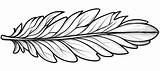 Feather Coloring Page Stock Illustrations – 8562  sketch template