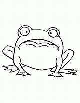 Search Results Animal Coloring Page For Kids Printable  Nation sketch template