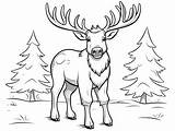 Amazing Elk Coloring Page  sketch template