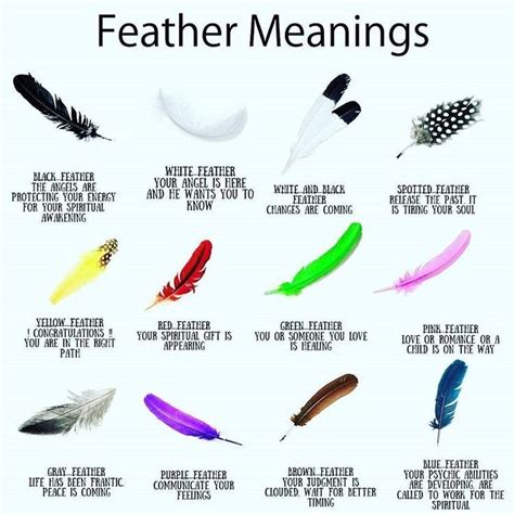 Pin by Charlie L. on Witch in 2020 | Feather meaning, Feather color ...