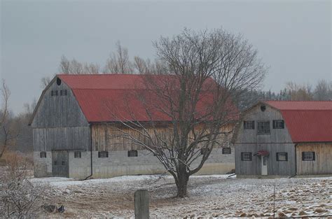 One Two Tree Photograph by Greg Hayhoe - Fine Art America