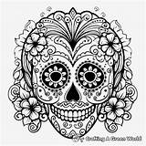 Sugar Skull Coloring Pages  Free & Printable sketch template