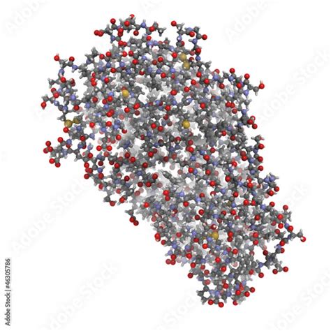 Pepsin enzyme molecule, chemical structure - Buy this stock illustration and explore similar ...