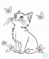 22 Katzen Ausmalbilder – Kostenlos Herunterladen Und Ausdrucken sketch template