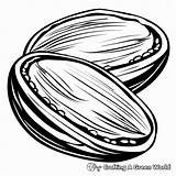Mustard Seed Coloring Pages  Free & Printable sketch template