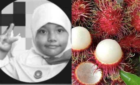 Maut Tercekik Rambutan