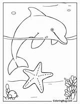 50 Dolphin Coloring Pages Free Printable PDFs sketch template