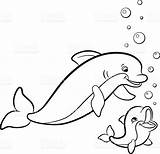 Dolphin Colouring Pages Free Printable sketch template