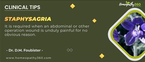 Staphysagria: Clinical Tips by Dr. D.M. Foubister - homeopathy360