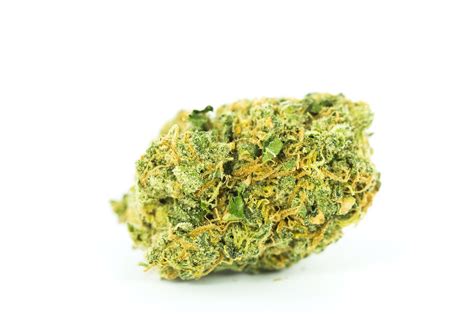 Jack Frost Strain | Everything You Need to Know