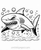 Types Of Sharks Coloring Pages Pdf  Infoupdateorg sketch template