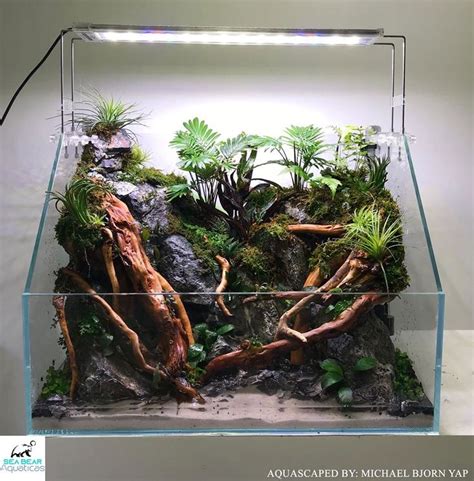 Paludarium by Michael Yap Philippines in 2021 | Aquascape, Planted aquarium, Floating plants