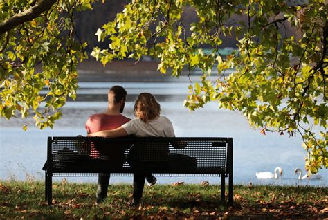 Couple sitting on the park bench image - Free stock photo - Public Domain photo - CC0 Images
