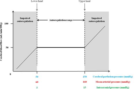 Frontiers | Impacts of Microgravity Analogs to Spaceflight on Cerebral Autoregulation