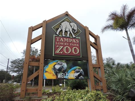 Mail4Rosey: Lowry Park Zoo in Tampa: 1300 Species on 60 Acres of Natural Habitat