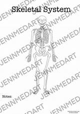 Printable Skeletal System Coloring Pages  Templates sketch template