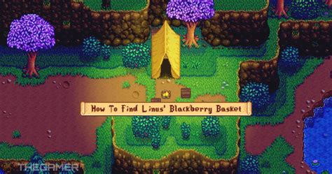 Stardew Valley: How To Find Linus' Blackberry Basket